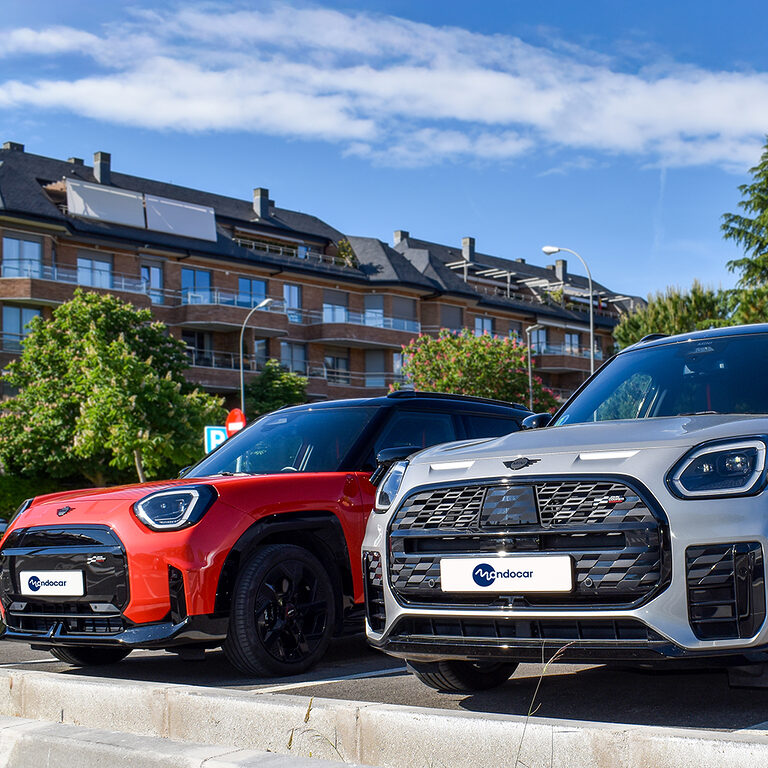 Blog 2 MINIS